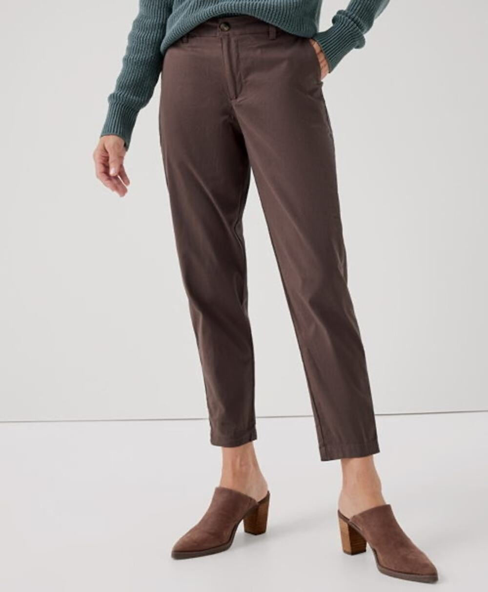 Pact Organic Brown Boulevard Brushed Twill Chino Pants